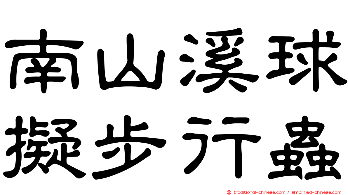 南山溪球擬步行蟲