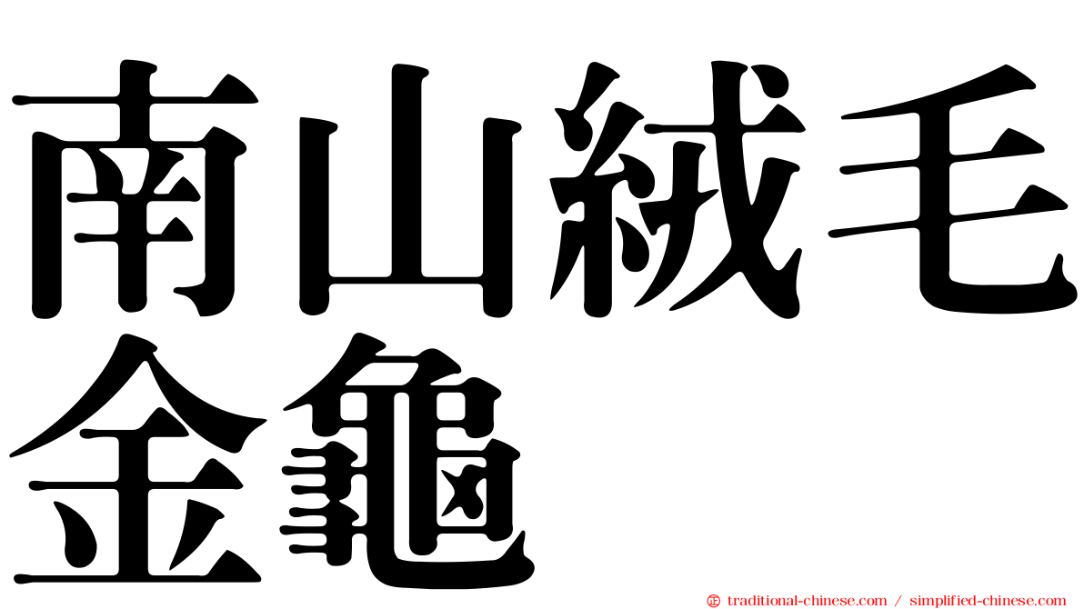 南山絨毛金龜