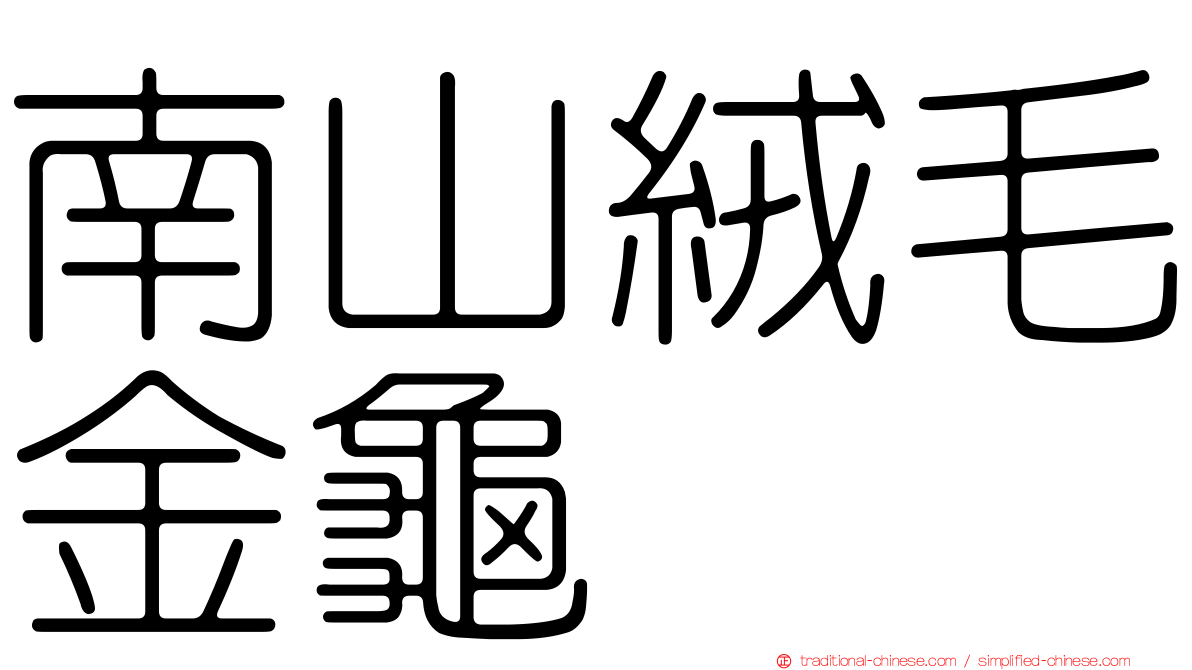 南山絨毛金龜