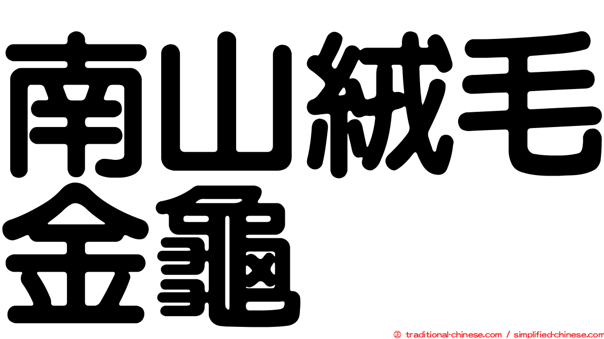 南山絨毛金龜