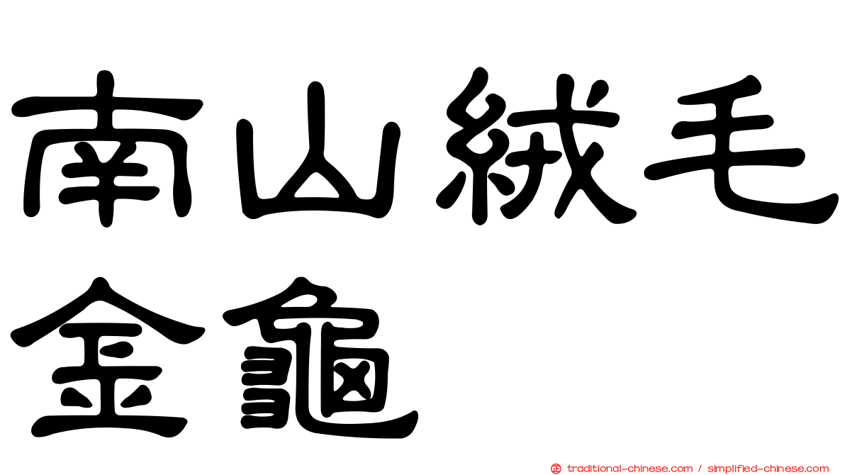 南山絨毛金龜