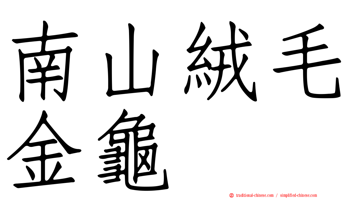 南山絨毛金龜