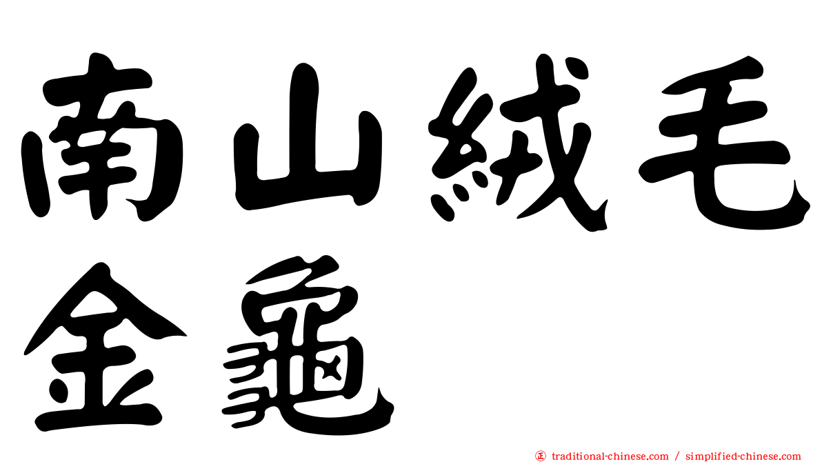 南山絨毛金龜
