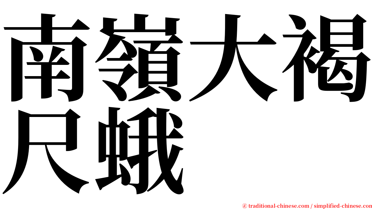 南嶺大褐尺蛾 serif font
