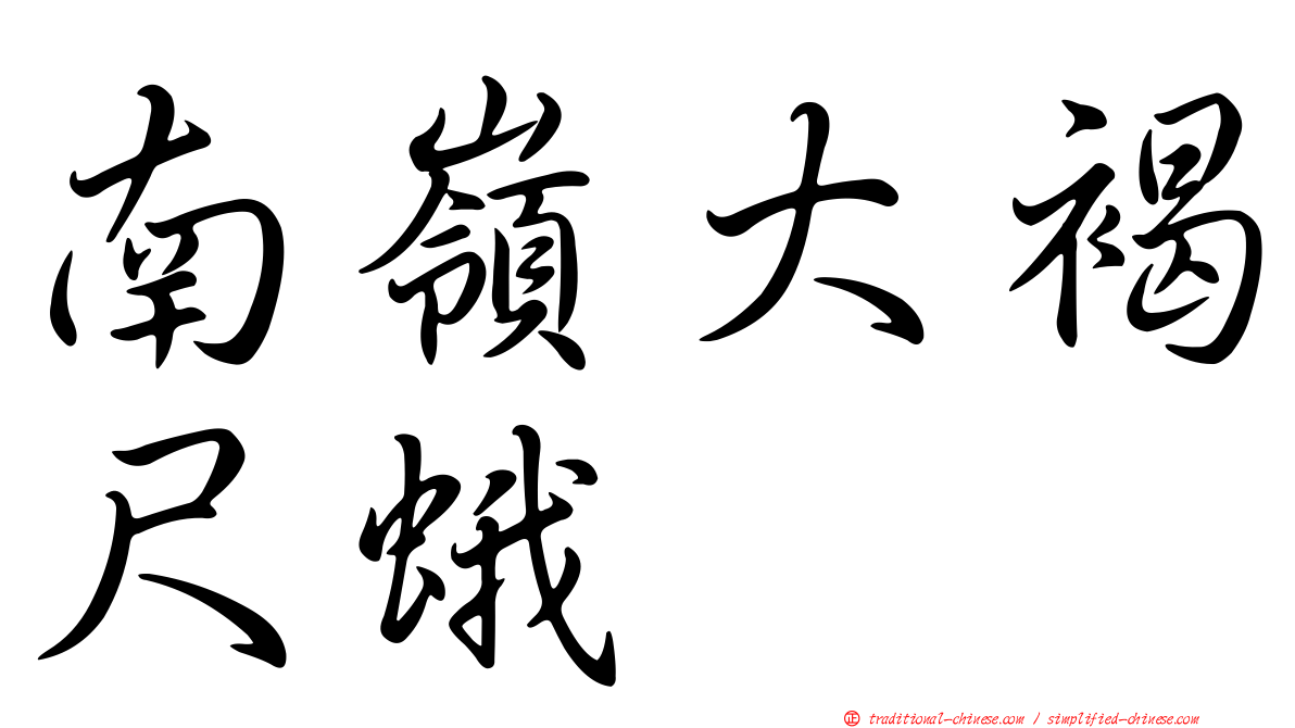 南嶺大褐尺蛾