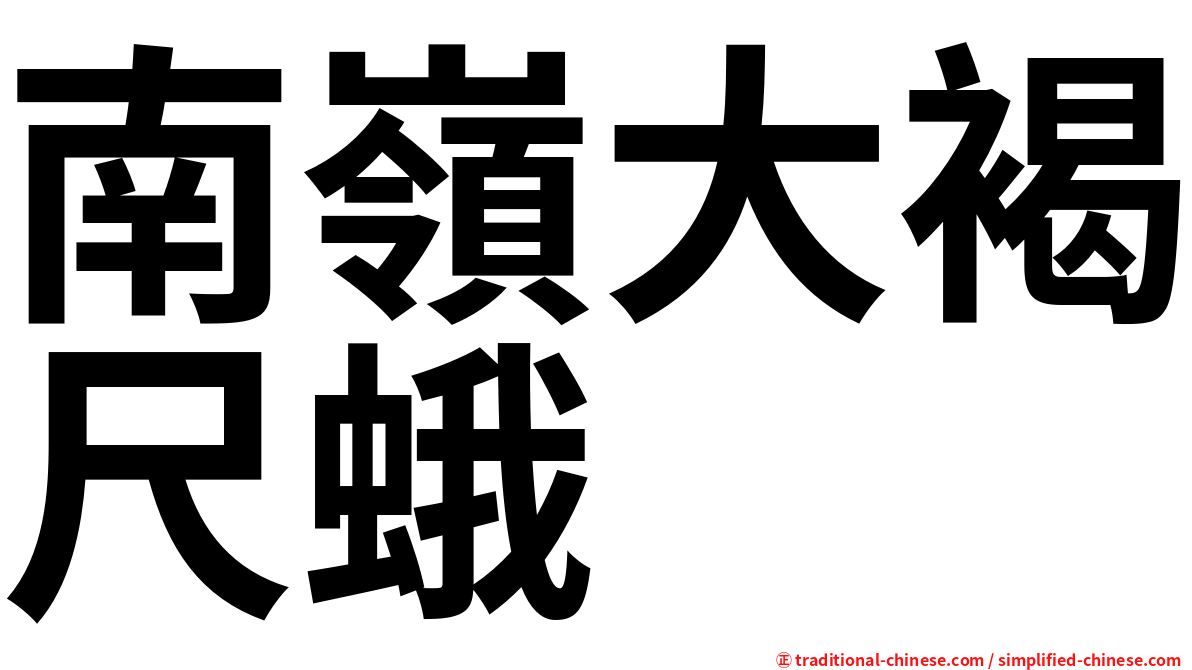 南嶺大褐尺蛾