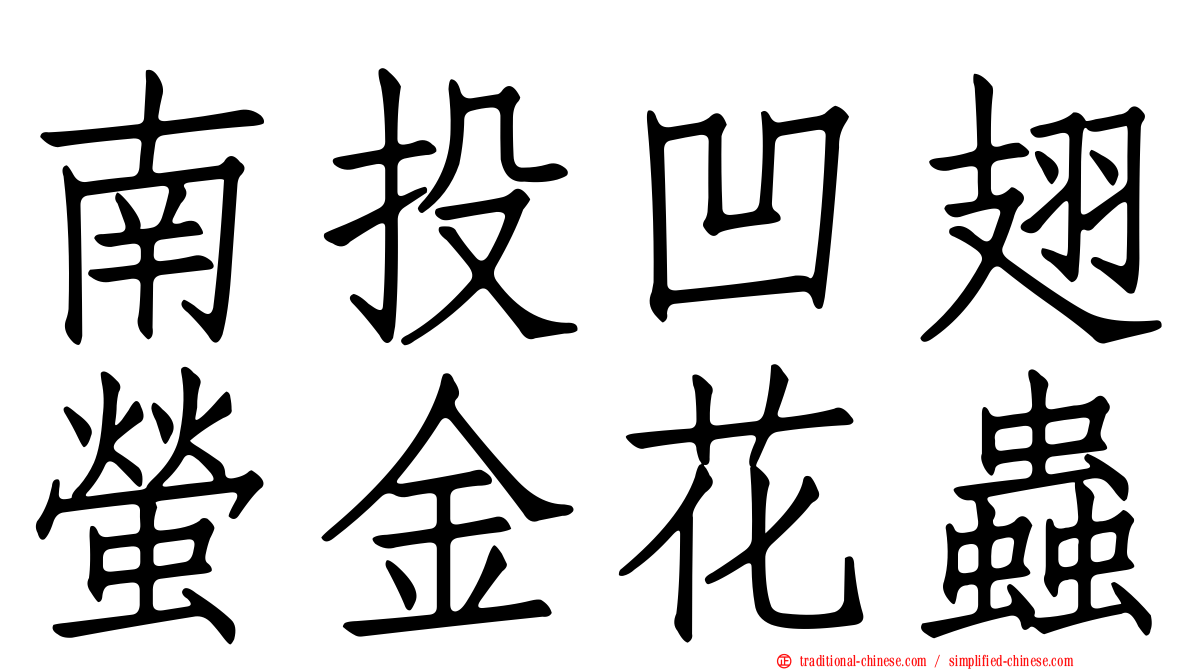 南投凹翅螢金花蟲