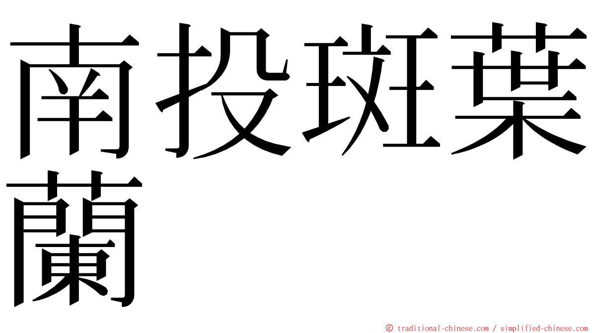 南投斑葉蘭 ming font