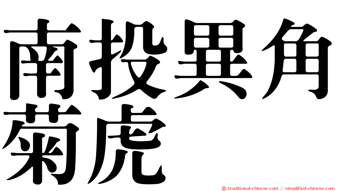 南投異角菊虎