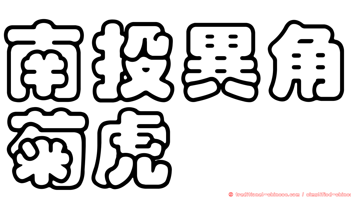 南投異角菊虎