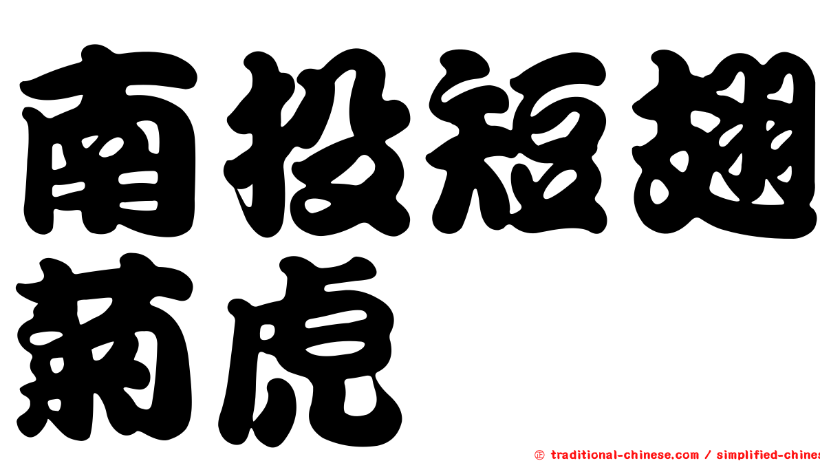 南投短翅菊虎