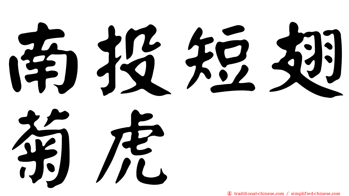 南投短翅菊虎