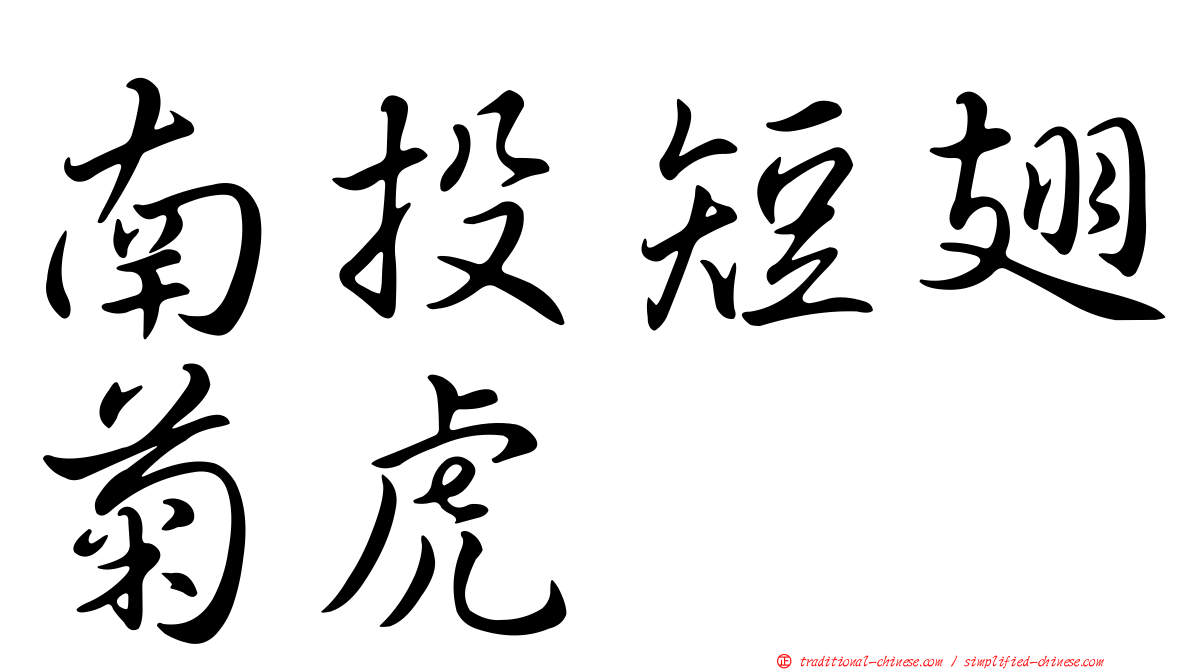南投短翅菊虎