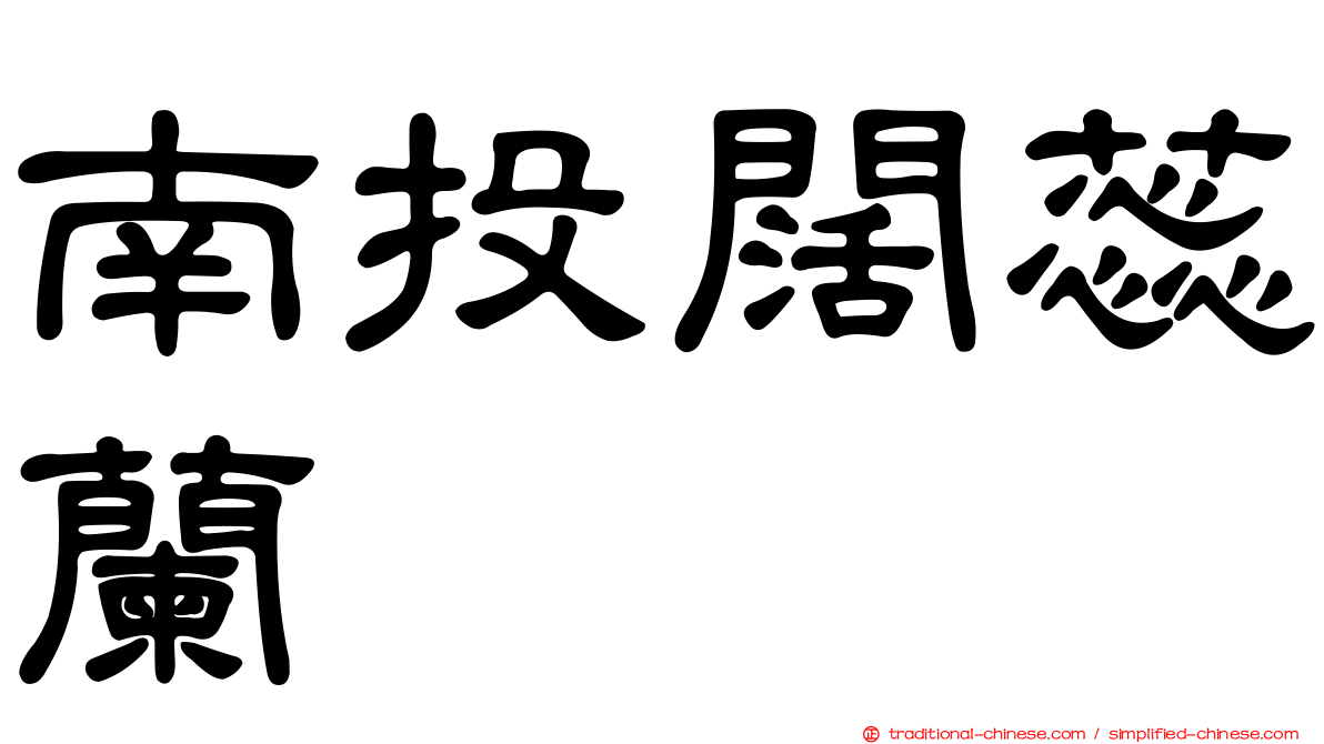 南投闊蕊蘭