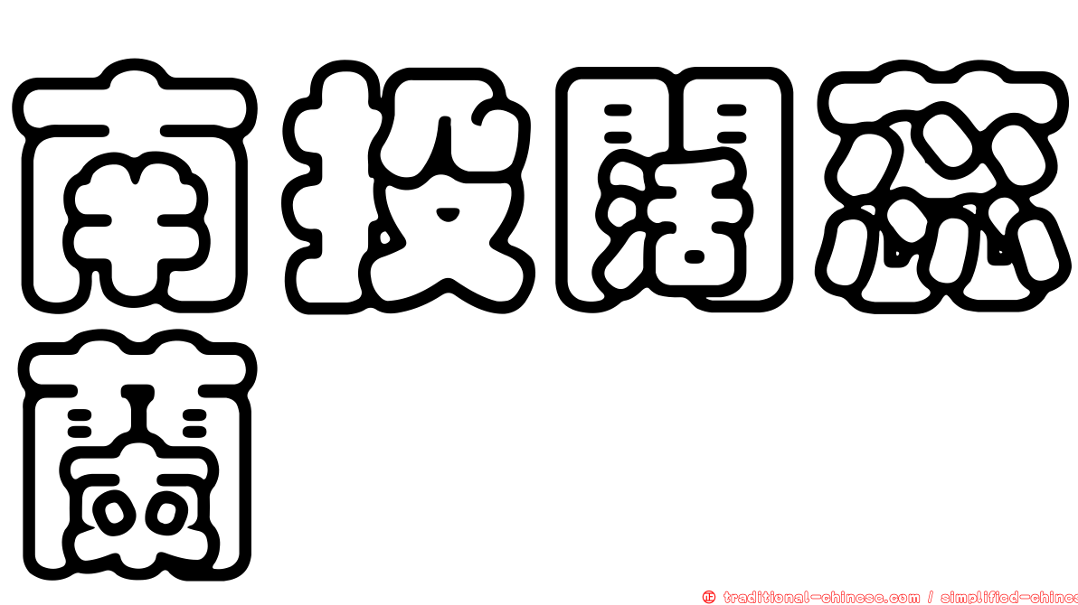 南投闊蕊蘭