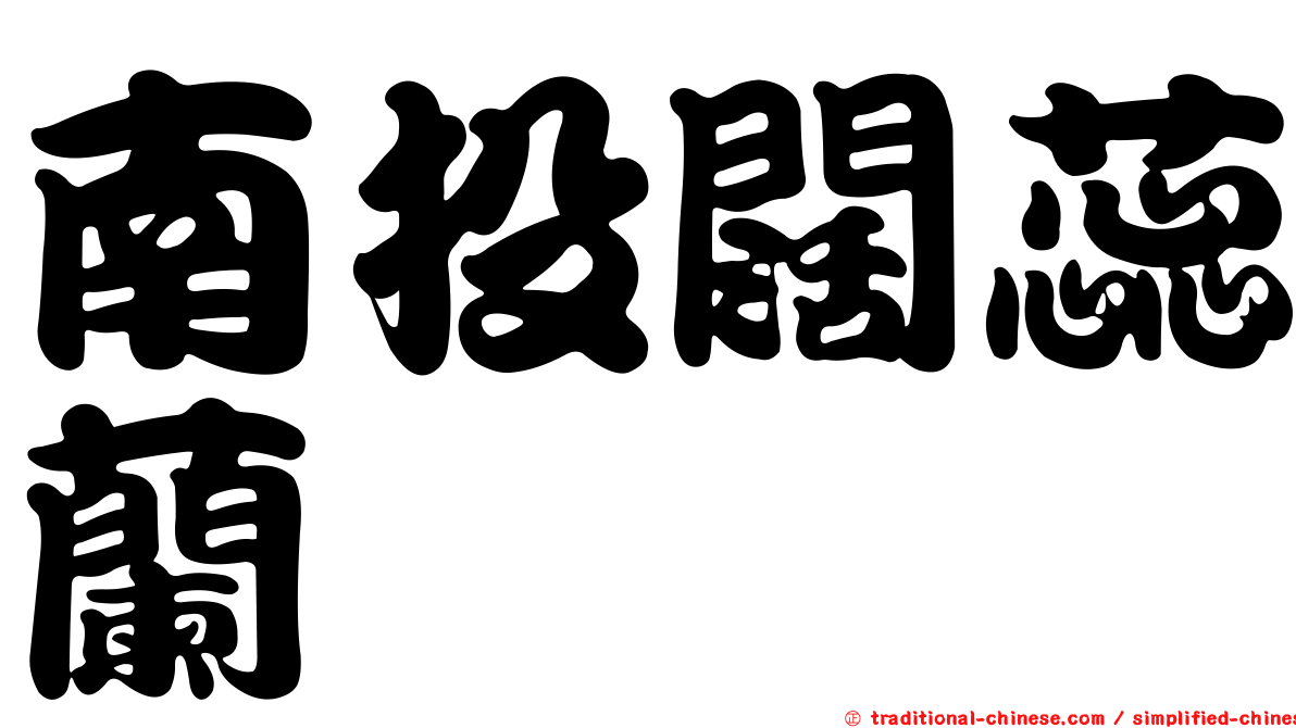 南投闊蕊蘭