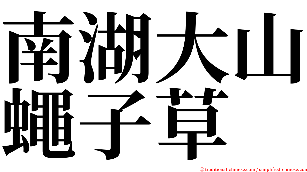南湖大山蠅子草 serif font