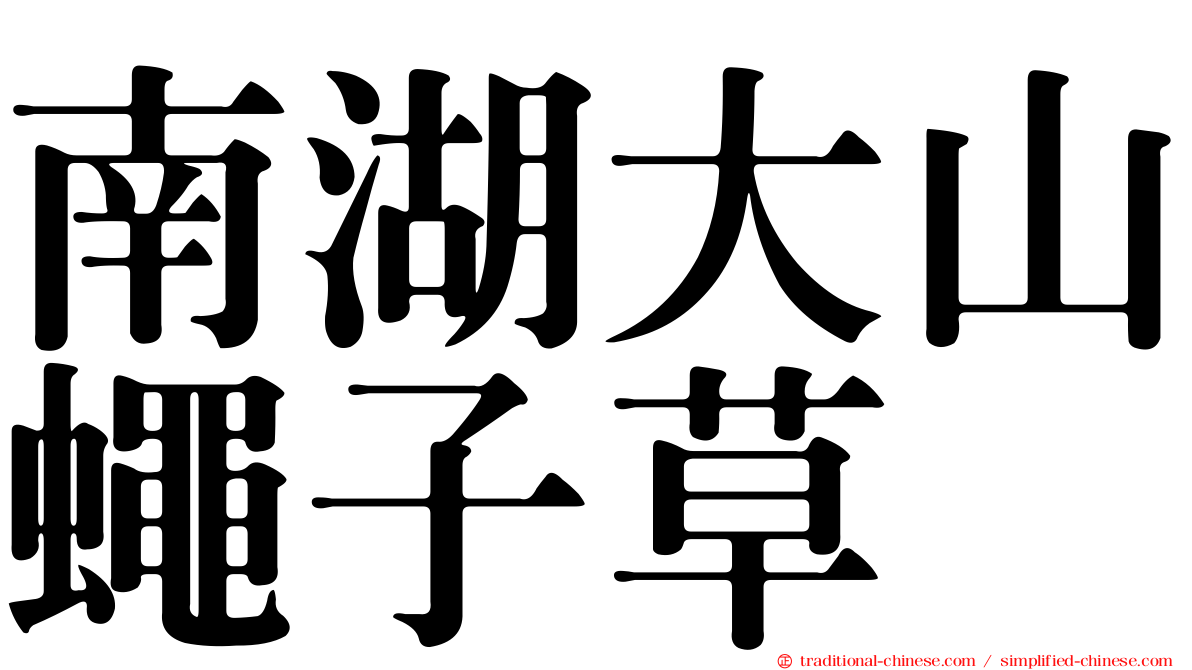 南湖大山蠅子草