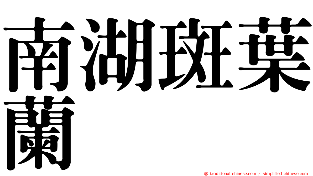 南湖斑葉蘭