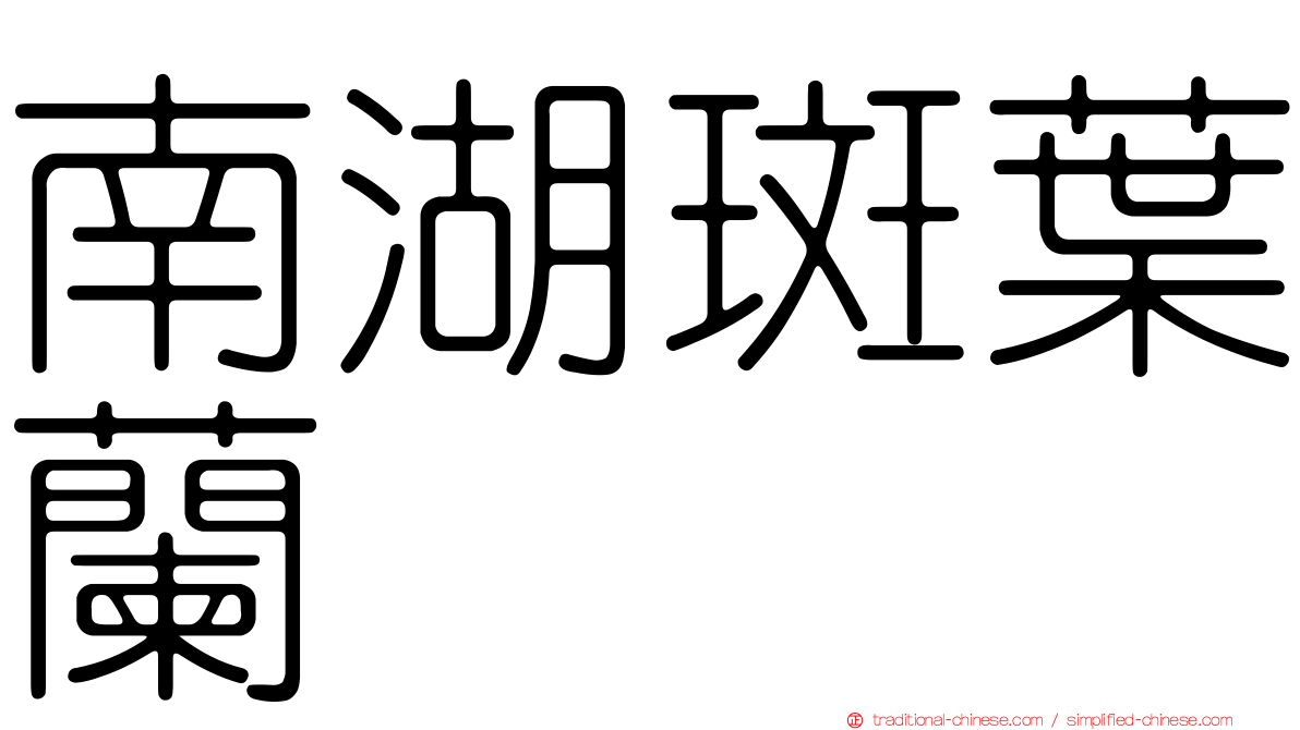 南湖斑葉蘭