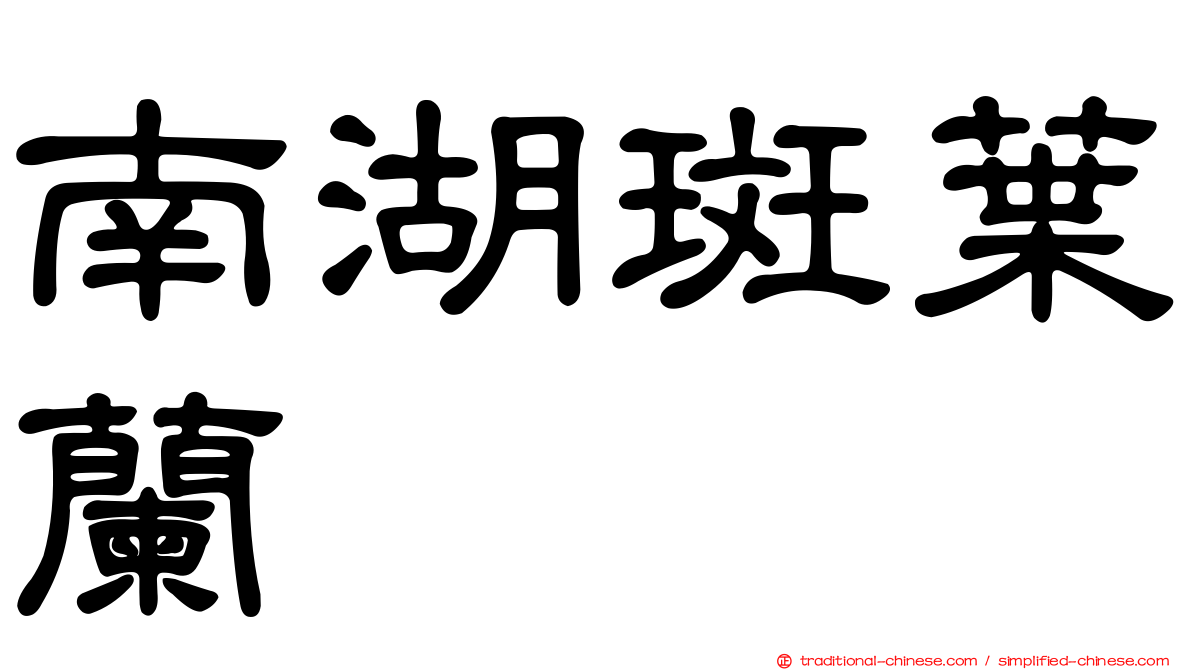 南湖斑葉蘭