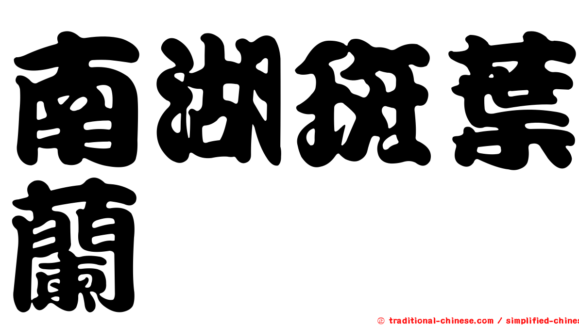 南湖斑葉蘭