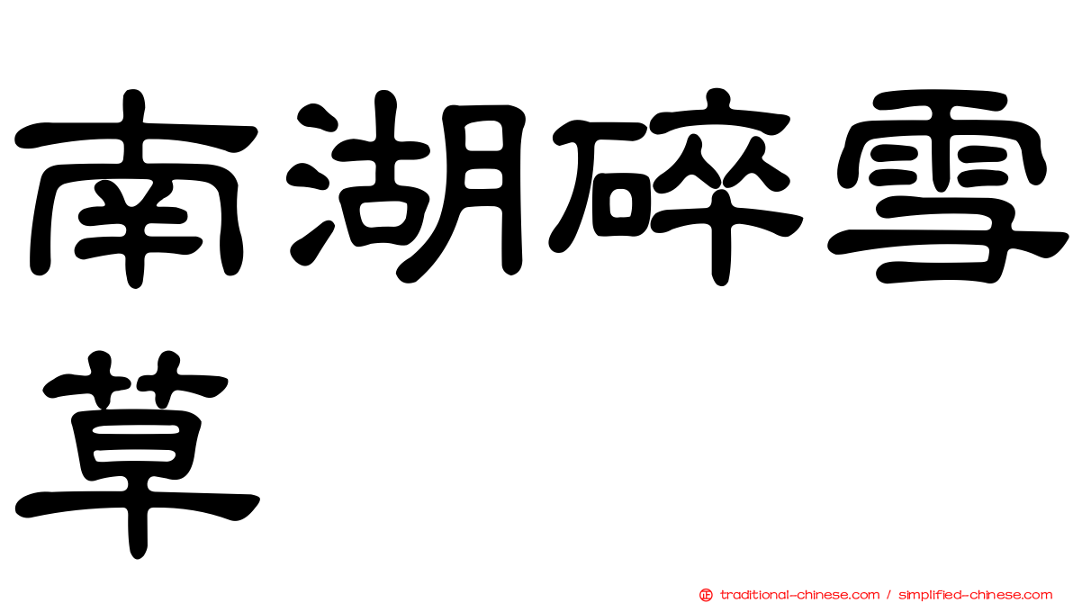 南湖碎雪草