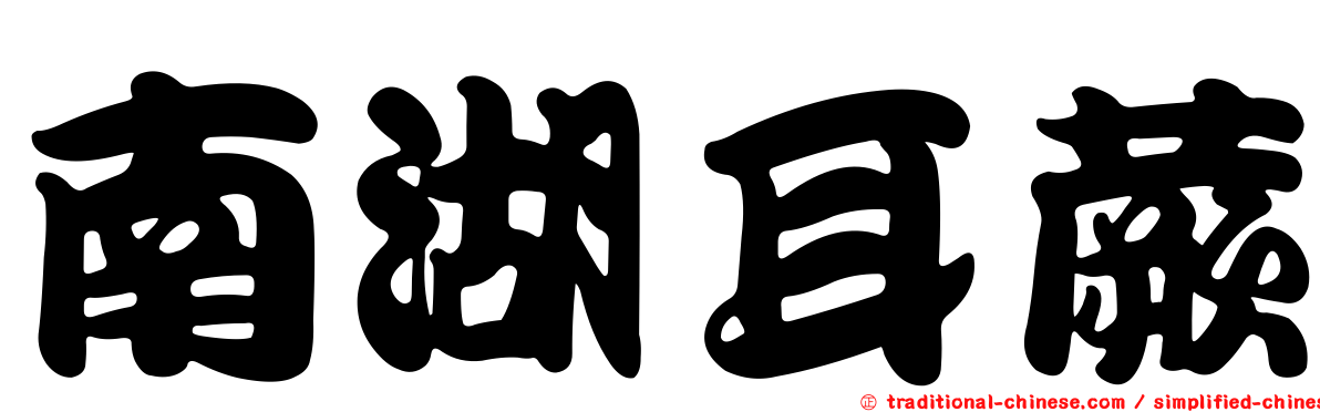 南湖耳蕨