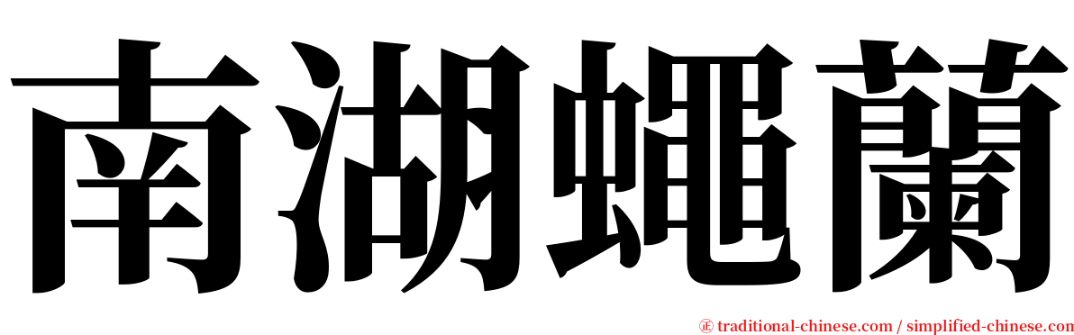 南湖蠅蘭 serif font