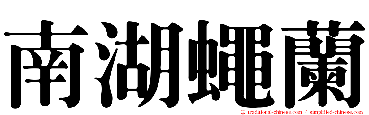 南湖蠅蘭