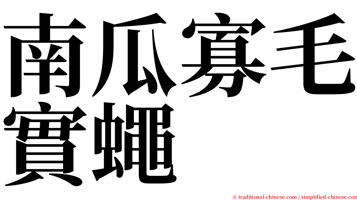南瓜寡毛實蠅 serif font