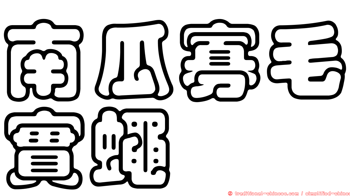 南瓜寡毛實蠅