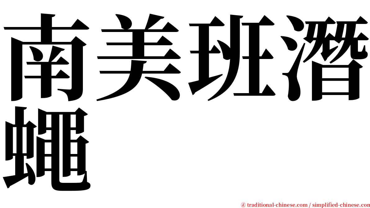 南美班潛蠅 serif font