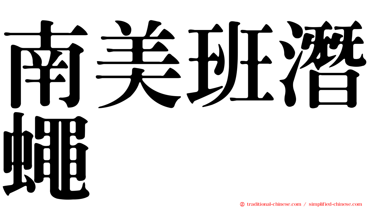 南美班潛蠅