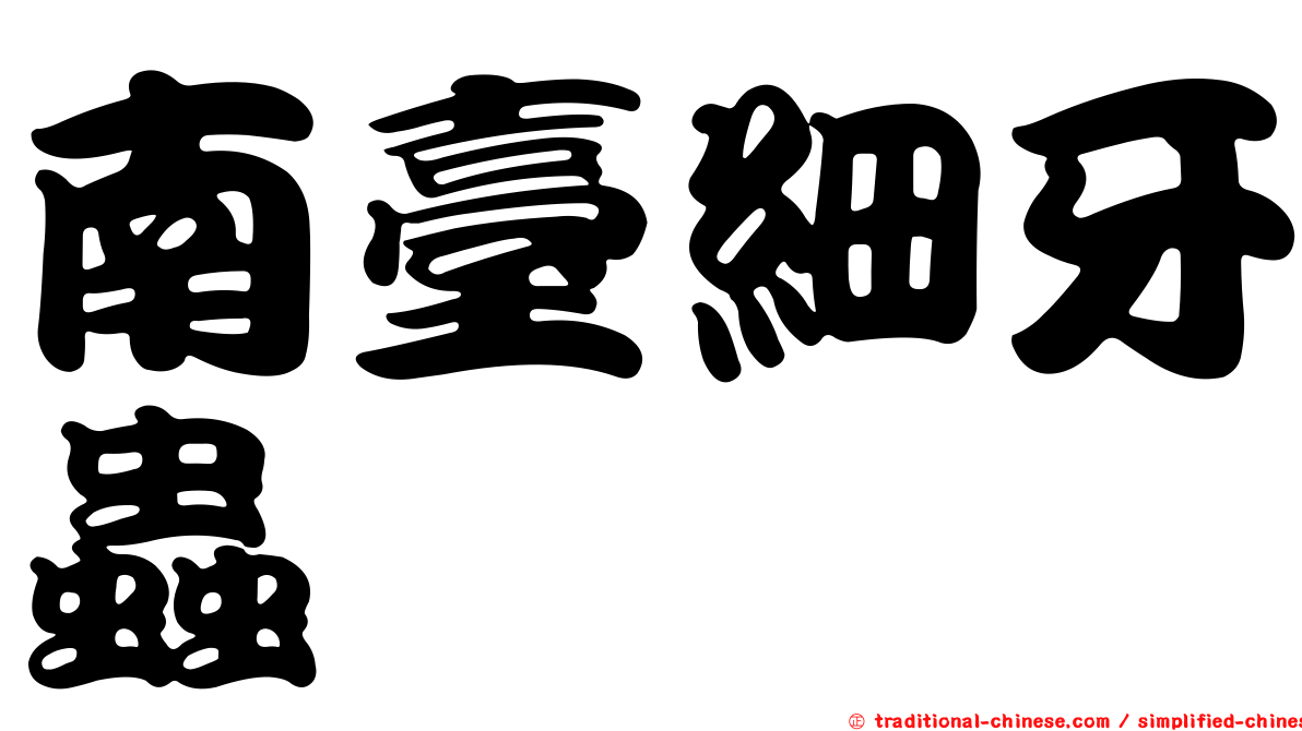 南臺細牙蟲