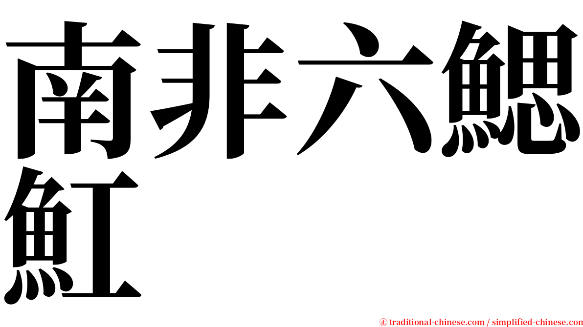 南非六鰓魟 serif font
