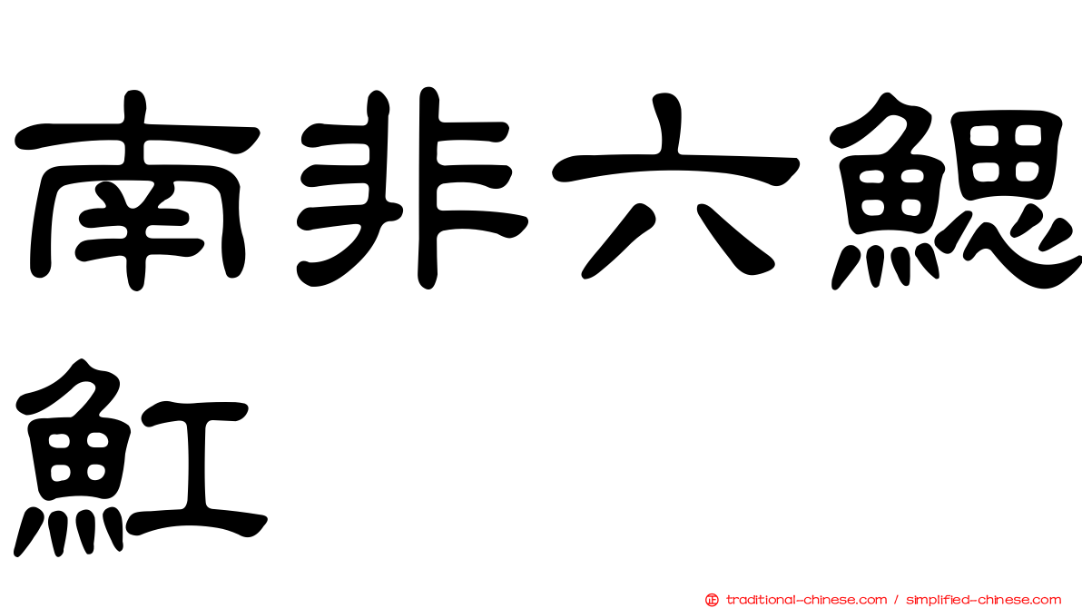 南非六鰓魟