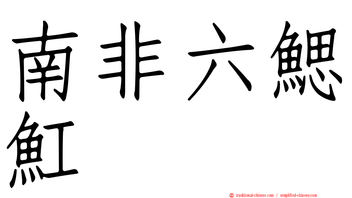 南非六鰓魟