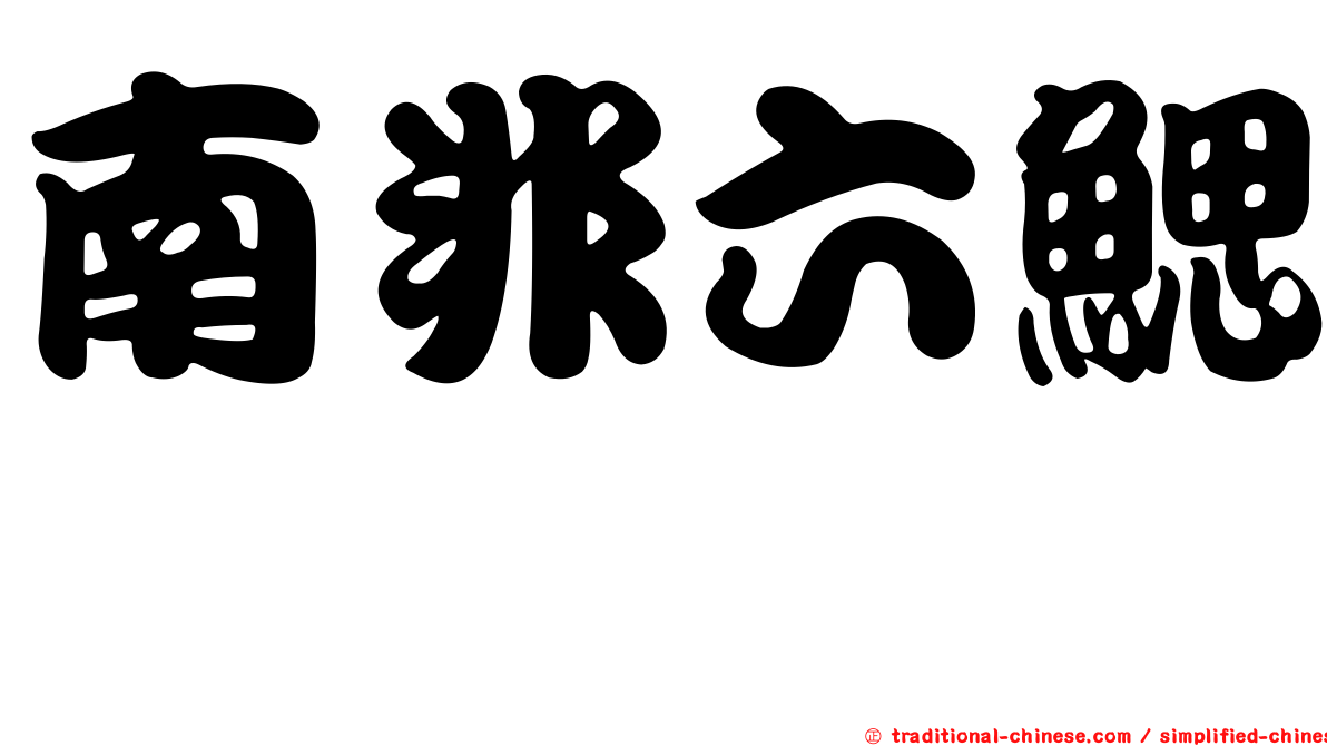 南非六鰓魟