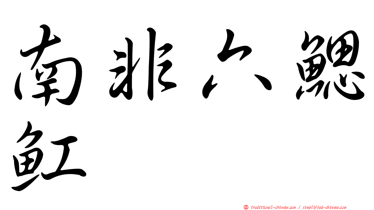 南非六鰓魟