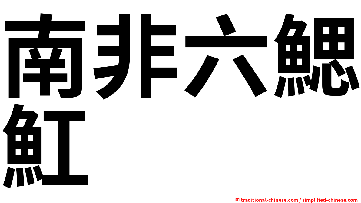 南非六鰓魟