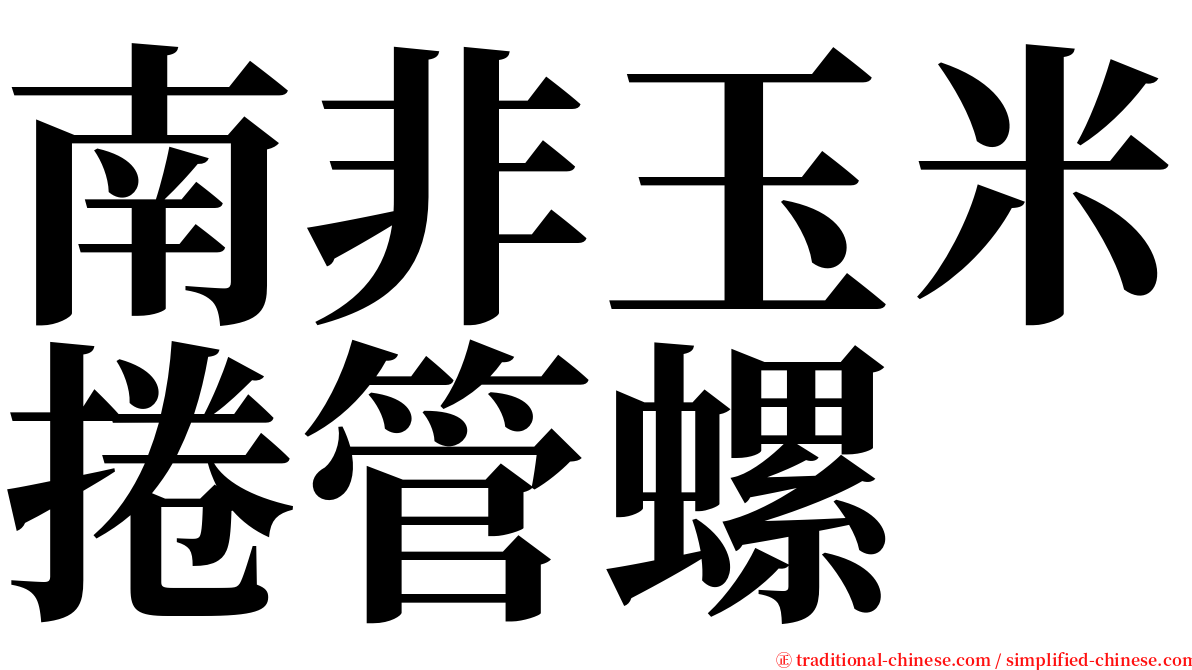 南非玉米捲管螺 serif font
