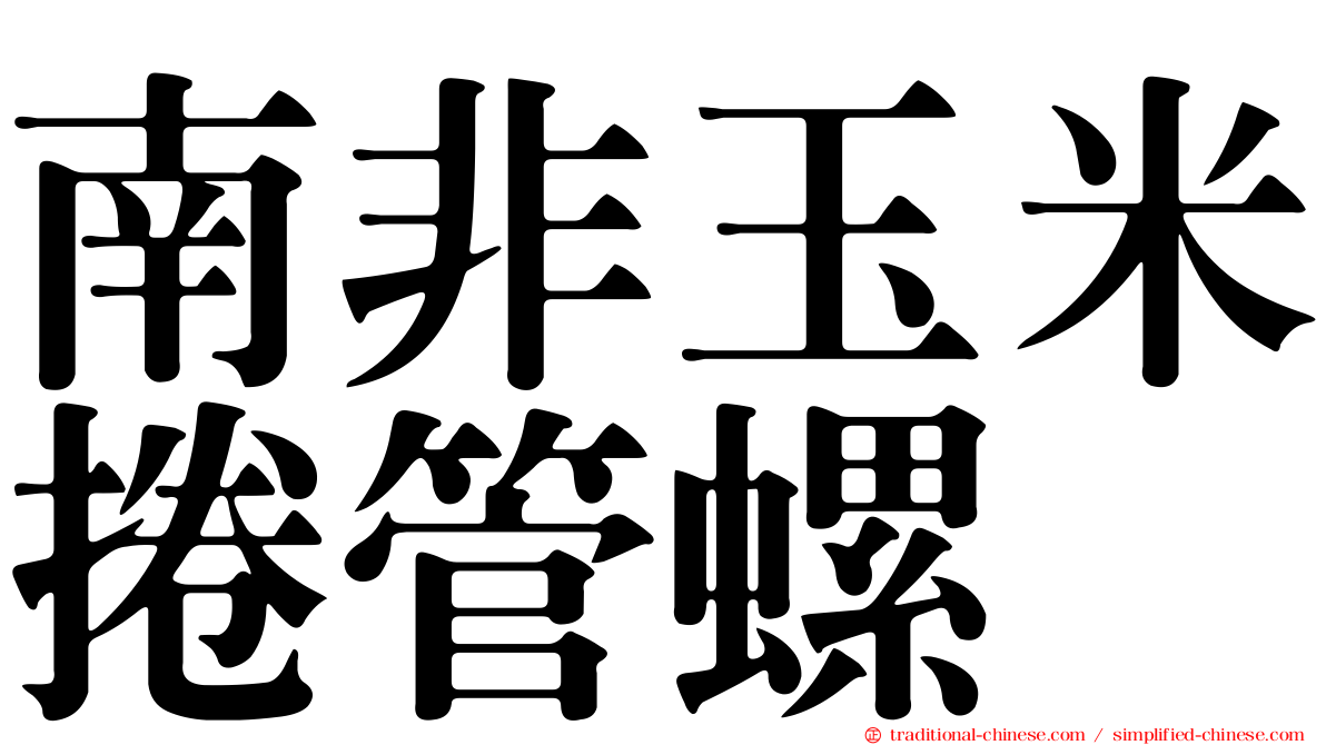 南非玉米捲管螺