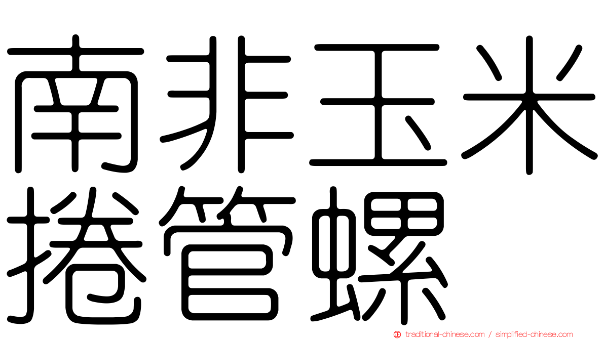 南非玉米捲管螺