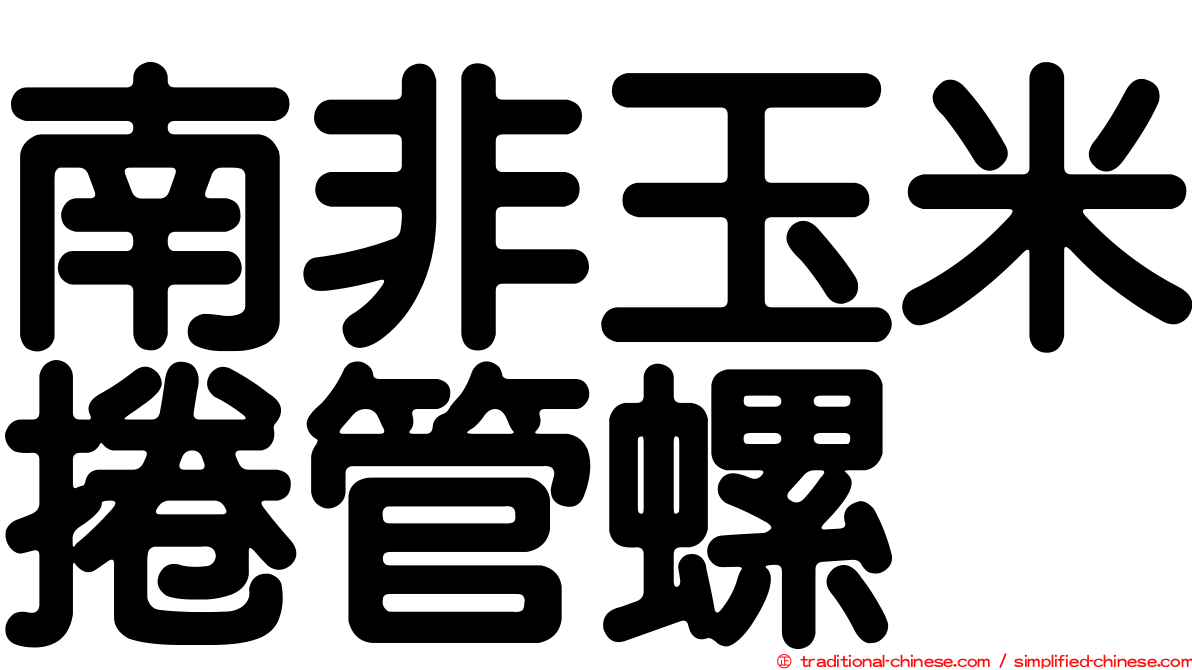 南非玉米捲管螺