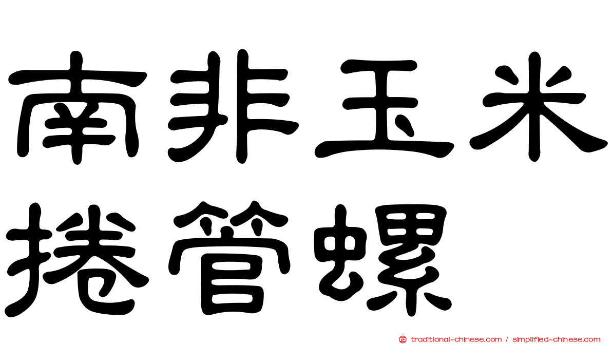 南非玉米捲管螺