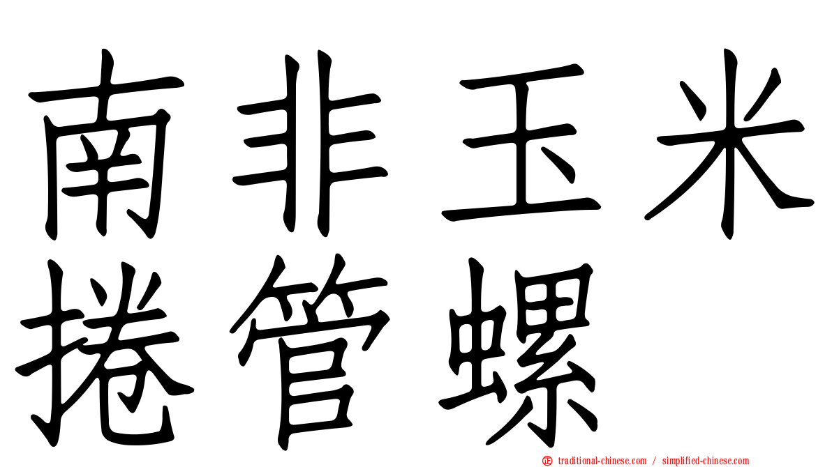 南非玉米捲管螺