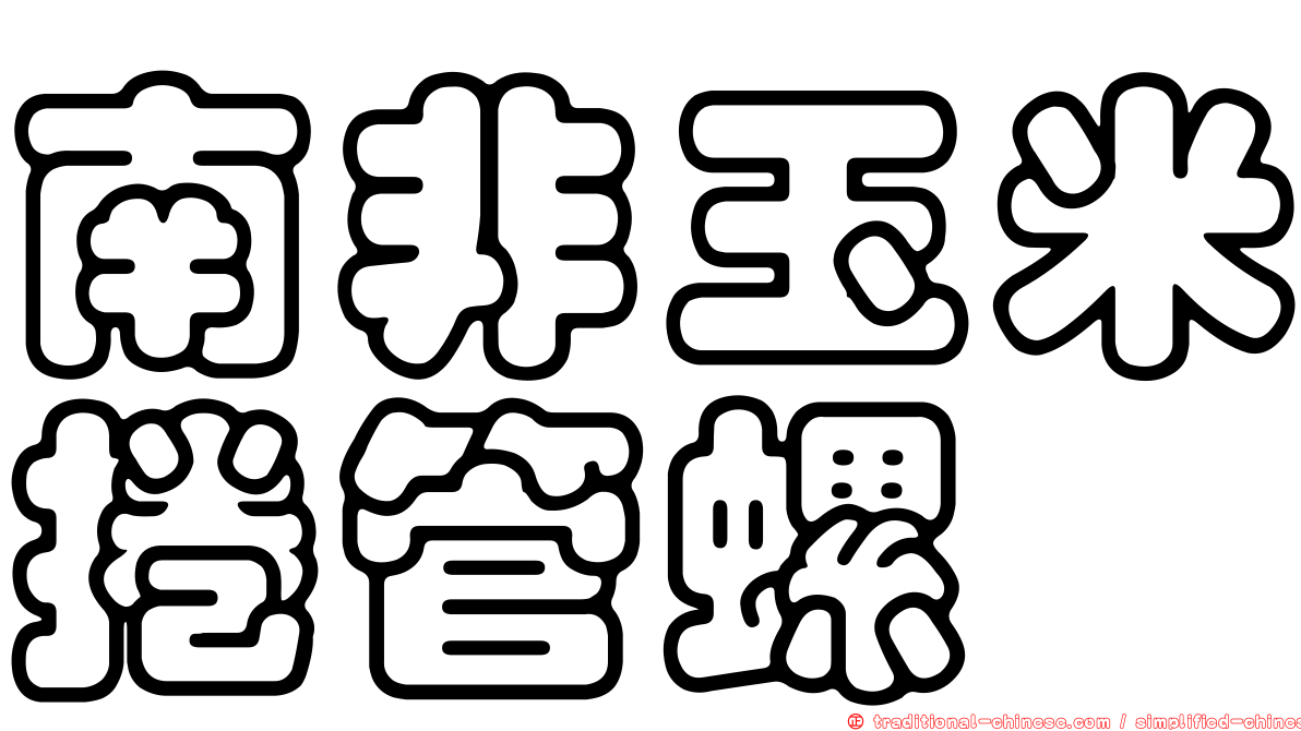 南非玉米捲管螺