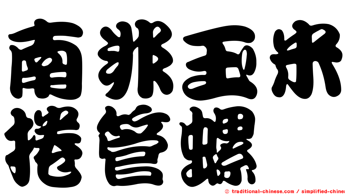 南非玉米捲管螺