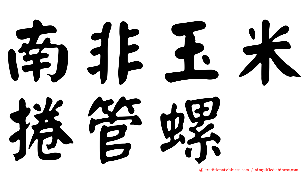 南非玉米捲管螺